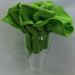 Color Swatch: Lime