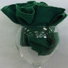 Color Swatch: Kelly Green