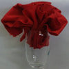 Color Swatch: Bright Red