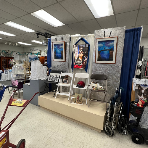 A brightly lit thrift store showcases a display with framed artworks, folding chairs, and wheelchairs. Items include a red helmet and decorative cat photo.