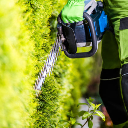 Yard & GardenPerson in green attire using a hedge trimmer on a lush, vibrant green bush. The scene conveys precision and calm focus in gardening.